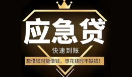 深圳生意本地私借-深圳生意贷款当天放款-深圳生意私人身份证借私借